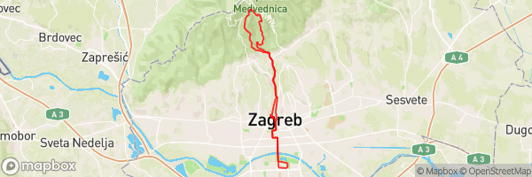 Džungla u sumrak