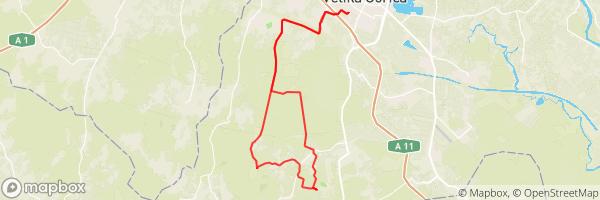 Skoro zapeli u snijegu