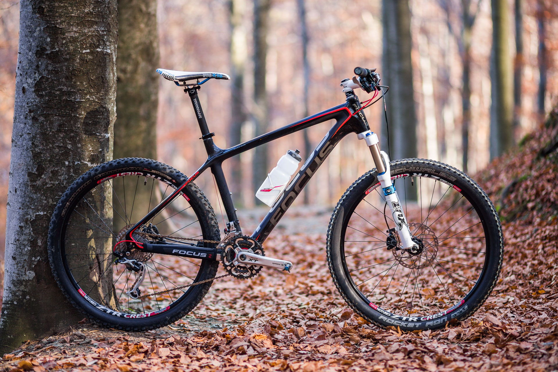 Focus Raven 2012 Custom