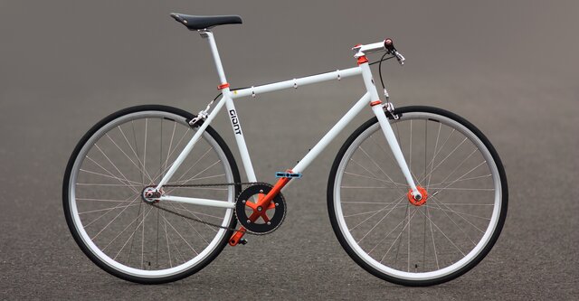 Single Speed bike - One speed to rule them all